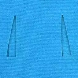 10 pezzi di nastro kinesiologi - Sports Taping Precut recensione e prezzo